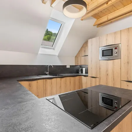U Buku 2 By Interhome Apartamento Bedřichov